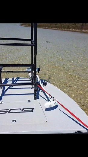 Skinny Water Testing in SCB: Boating Adventure