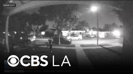 LA County woman says Amazon delivery driver stole her cat off her doorstep