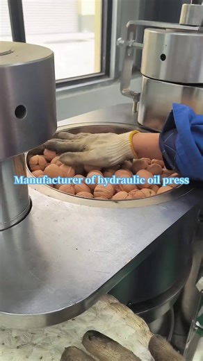 Pressed Shelled Walnut Oil Production Techniques