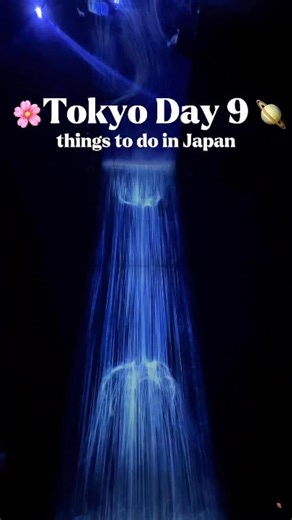 Emily | Travel Recs & Inspo on Instagram: "Tokyo Day 9: TeamLab Planets, Don Quijote, Airport Limousine + more! Let me know if you want more in depth videos about anything we did during our trip to Japan! (This is not the end, I still have several more videos to put together for you!) 🇯🇵🍜🍡#japantravel #thingstodo #travel #tokyo #teamlabplanets #japan #japantrip #travelcreator #travelcontent #traveljapan #explorejapan"
