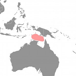 Arafura Sea on the world map. Vector illustration.