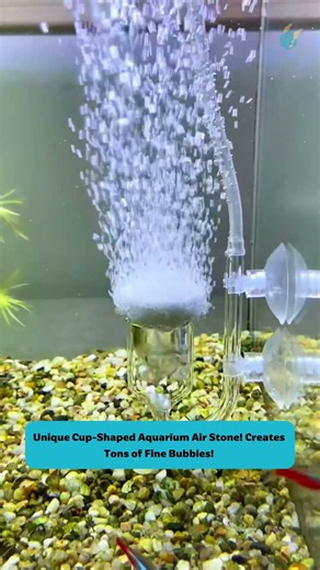Unique Cup-Shaped Aquarium Air Stone! Creates Tons of Fine Bubbles! #tools #fishtank