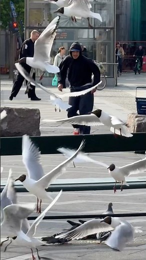 Converse pro Louie Lopez filmed all these tricks in 2 rainy+cold days 🛹 📍Copenhagen #skateboarding