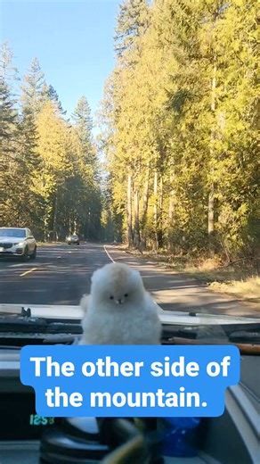 #oregon #theothersideofthemountain | Tammy Lurri