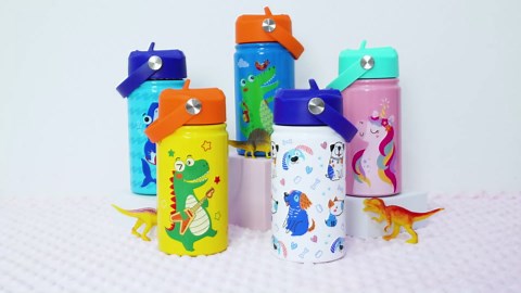 Dinosaurs Water Bottle - Dino Kids Water Bottle with Straw Lid - 12 Oz Insulated Stainless Steel Water Bottles for Kid Boys - Travel Cup for School Sports