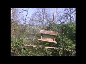 Water Sentry Gun: Squirrel Footage