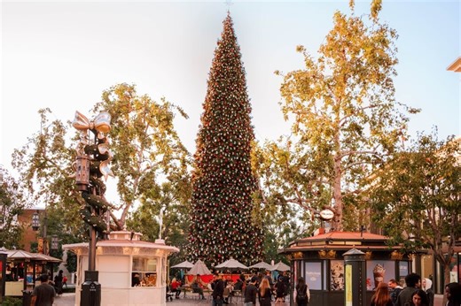 It's not even Halloween yet, but the Grove is already decorating for Christmas