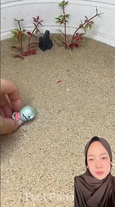 Hide in the sand 😱