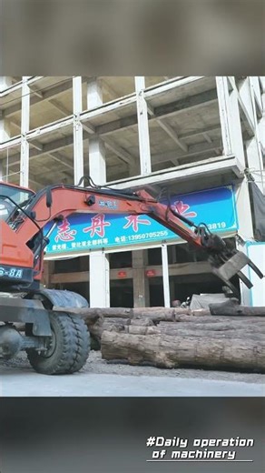 Live shot of timber transfer in forest farm!