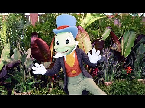 Jiminy Cricket at Disney's Animal Kingdom Earth Day 2019 - Our Favorite Meet w/Him EVER (He Dances!)