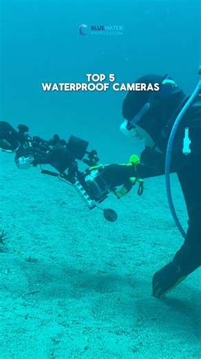 These waterproof cameras are perfect for snorkeling, shallow diving, and travel adventures. Whether you’re capturing reef fish or cannonball contests, they’ve got you covered. Here are our top 5 waterproof cameras for getting the shot: 👇👇 1️⃣ Olympus TG-7� 2️⃣ GoPro Hero 13� 3️⃣ Sea & Sea DX-6G� 4️⃣ Sealife Micro 3.0� 5️⃣ Insta360 Ace Pro�� Tell us which one’s your favorite! 👇�� All camera's are available through bluewaterphotostore.com Remember to check if your waterproof cameras needs a div