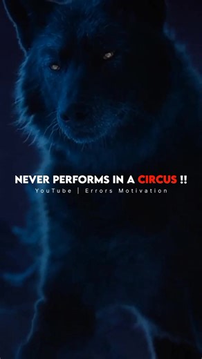 Why Wolves Never Perform in Circuses Explained