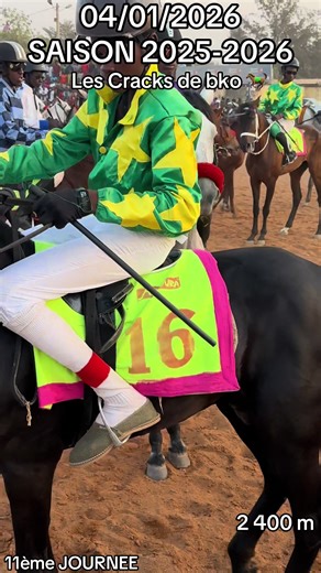 passion du cheval 🐎🐎🐎