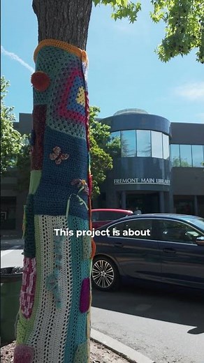 Fremont’s First Community-Wide Public Art Installation | Mayor Raj Salwan | Voices of Fremont