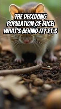 What Happens When All The Mice Are Gone? #sciencenews #naturalsciences