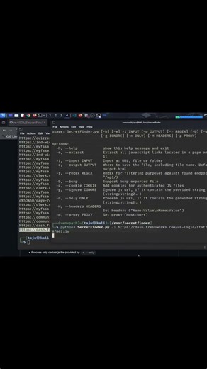 Find Exposed API Keys in JS Files Using SecretFinder Web Security Tool
