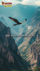 11K views · 685 reactions | El mar sin agua no es mar  El sol sin luz nunca es sol ❌ Y yo sin ti no soy nada  Ando como planta sin maceta, como taco sin salsa, como banda sin tuba ‍ #epocapesada #music #corridos #elhalcondelasierra #corridos90s #CorazoncitoTirano | El Halcón De La Sierra | Facebook