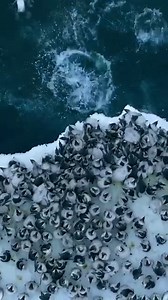 Here's me commentary on a bed making competition 🎙 | Ozzy Man Reviews