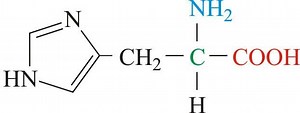 Histidine - Alchetron, The Free Social Encyclopedia