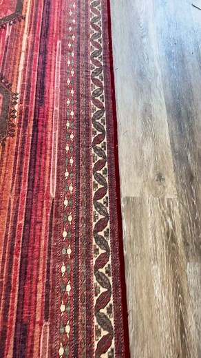 Bearded Dragon Surprises by Running