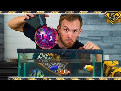 How Will A Plasma Globe REACT In Water?