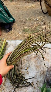 46K views · 1.1K reactions | Karen vegetables  #highlights #vegetables | Paw Ler | Facebook