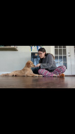 13K views · 859 reactions | Hazel learning Kiss  I'm using Touch to lay the foundation for this trick. Right now she's making contact with my hand/fingers, but over time the goal will be for her to target directly on my cheek. | SW Retrievers | Facebook