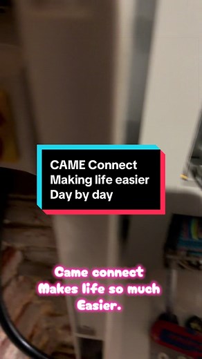 CAME Connect: Simplifying Gate Automation