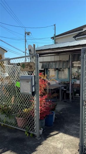 Discovering Hifumi: A Unique Frog-Themed Restaurant in Japan