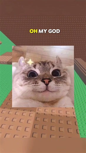 Met The Cutest Girl 😭🙏#roblox #rblx #relatable #rant