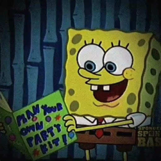 spongebash hijack 2005