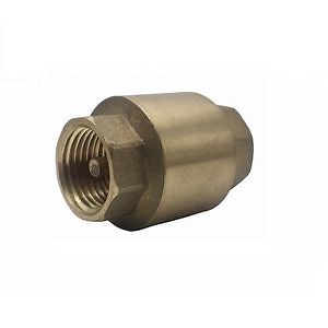 [Hot Item] 1/2-4 Inch Brass Quality Spring Vertical Water Check Valve