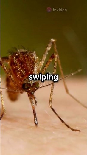 Why Mosquitoes Always Buzz? 🦟