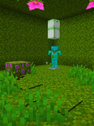 BEST DONUT SMP TRAP