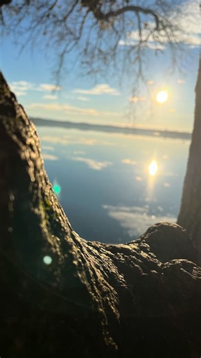 Danke 2025! All die wunderbaren Menschen, die du mir geschenkt hast (leider konnte ich bei weitem nicht alle im Reel unterbringen), die gute Arbeit, meine Familie - gesund und rund. Ich bin einfach nur happy und hoffe 2026 auch im warmen Licht der Sonne wandeln zu dürfen. Das BESTE für euch Alle! Guten Rutsch 🍾⭐️ #sylvester #gratitude #jahresrückblick #followthesun | Eva-Maria Grein von Friedl