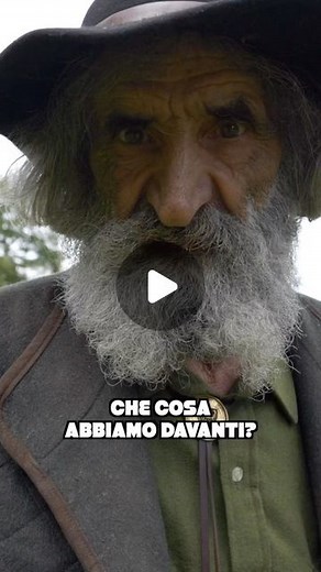 The Pillow on Instagram: "La sconfinata conoscenza di Fèro per le erbe 🌿 #natura #nature #italia #storia #filosofia #psicologia #eco #ecoliving #ecolifestyle #vegan #food #cibo #montagna #fiori #alberi #bosco #funghi"