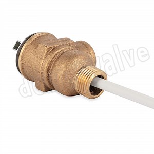 [Hot Item] Temperature and Pressure Relief Valve for Hot Water Storage Tank