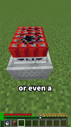 The Shield Is Extremely Overpowered #minecraft #unstablesmp #shorts
