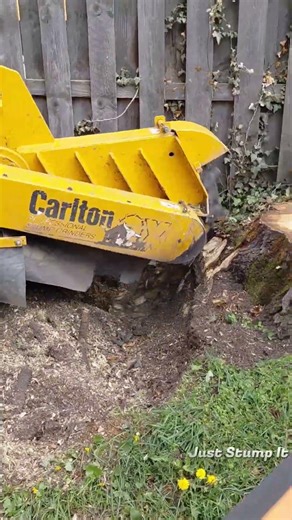 Before and after stump removal.