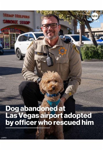 Two-Year-Old Goldendoodle Finds Forever Home