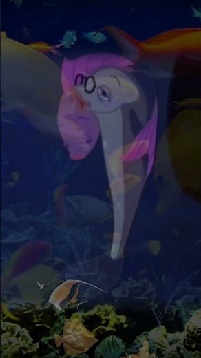 The Incredible Mr. Limpet | Don Knotts Lady Fish Movie Clip