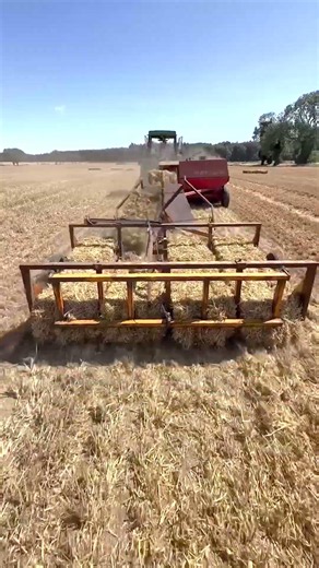 Operating Principle of a Straw Bale Collector Accumulator in the Field #farming #agriculture