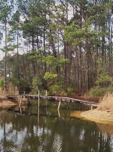 TikTok trend be cancelling my plans! #1 song on 10th bday makes my decision making easier. 🤣 #fyp #TikToktrends #10thbdaysong