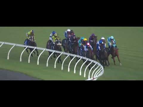 Jigsaw - 2026 Sistema Railway