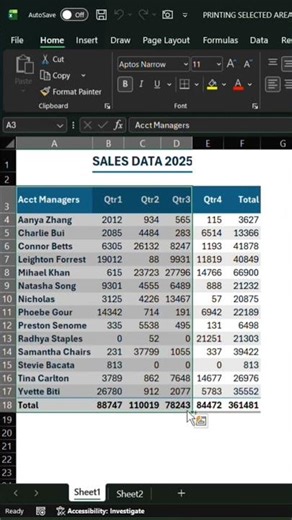 Print Selection In Excel #excel #excelshortcuts