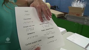 Braille at Windsor Seed Garden