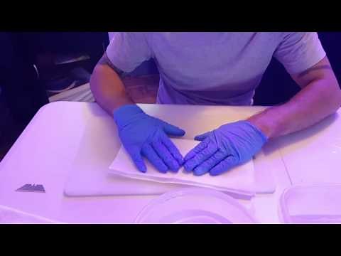 How to cut an anemone (bubble tip)