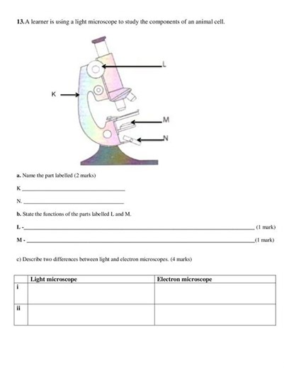 Grade 10 Biology End of Term 2 2026 Exam with Marking Scheme