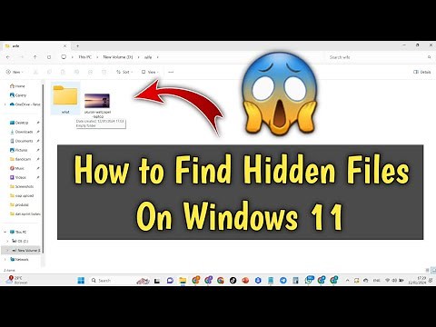 How to Find Hidden Files on Windows 11