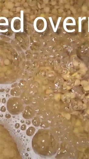 How to sprout lentils #food